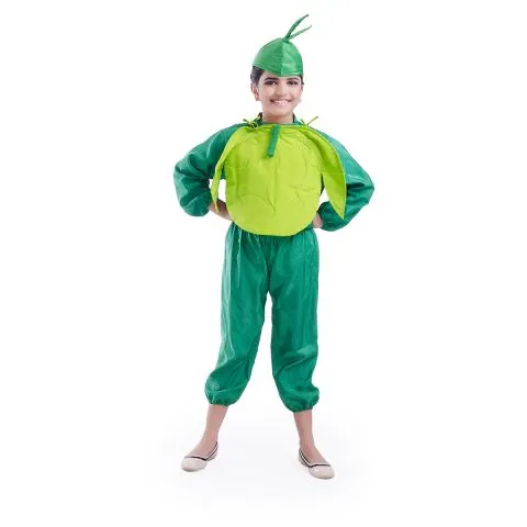 Cabbage Costume for boys and Girls for Fancy dress competitions